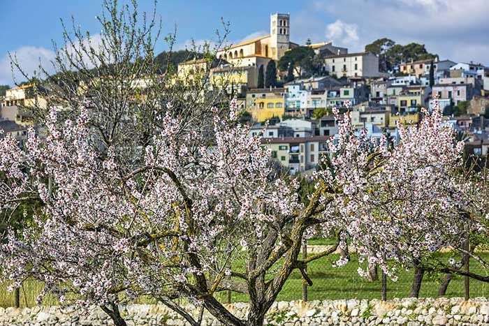 Pueblos & almendros en flor